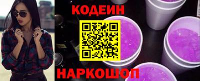 мдпв Камышлов