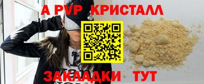 мдпв Камышлов