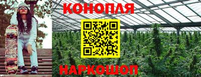 трава Канаш