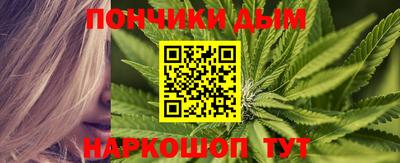 мдпв Камышлов