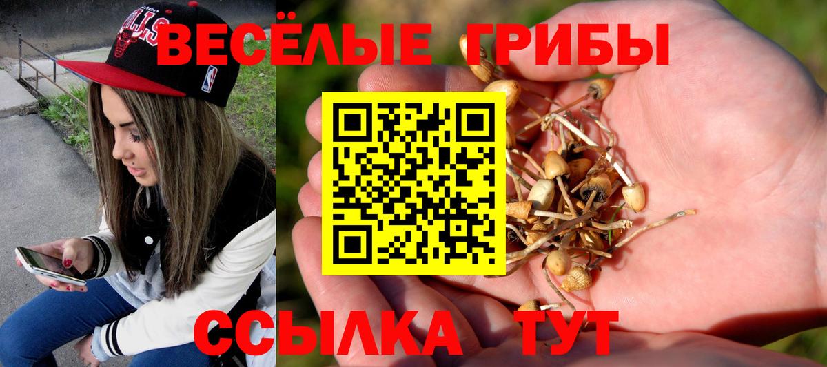 Клин  Галлюциногенные грибы прущие грибы  Вход с VPN  Псилоцибиновые грибы мицелий 